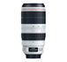 Fast Autofocus and Superior Optics - Canon EF 100-400mm F4.5-5.6L IS II USM