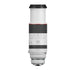 High-Performance Sports and Wildlife Photography with Canon RF 100-500mm F4.5-7.1 L IS USM